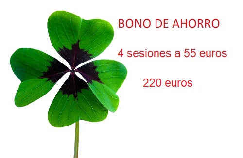 Precio del primer Bono 220 euros